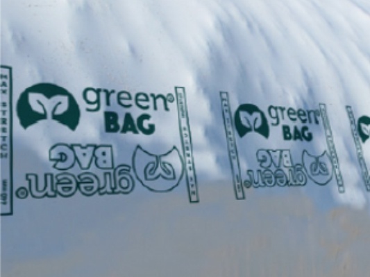 green-bag-jpg.jpg